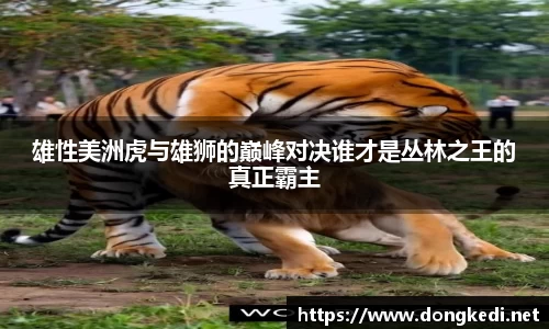 yy易游体育