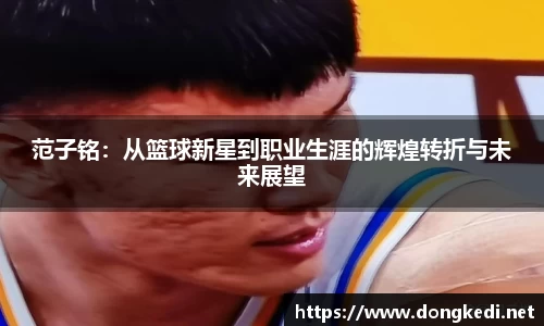 yy体育