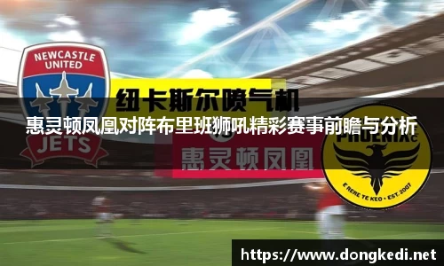 惠灵顿凤凰对阵布里班狮吼精彩赛事前瞻与分析