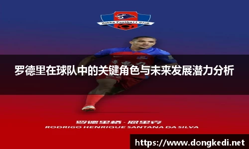 罗德里在球队中的关键角色与未来发展潜力分析