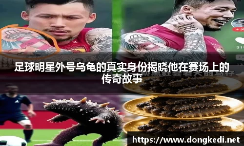 足球明星外号乌龟的真实身份揭晓他在赛场上的传奇故事